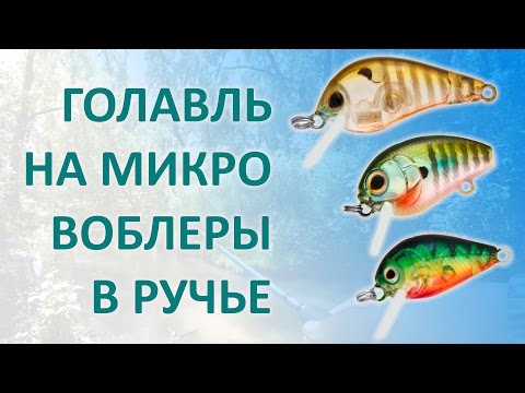 Видео: Ловля голавля в ручье на микро воблеры