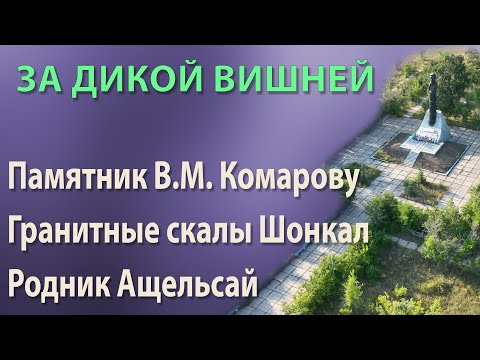 Видео: За дикой вишней (Адамовский район)