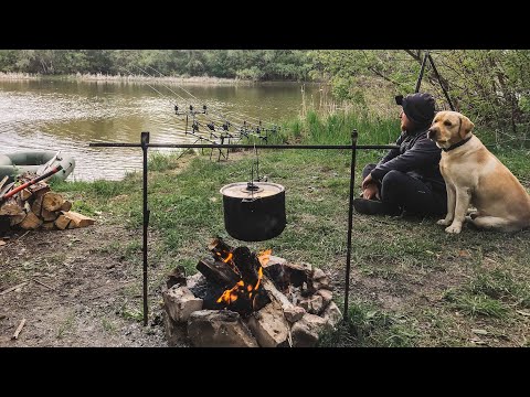 Видео: РЫБАЛКА НА САЗАНА В НЕРЕСТ!!! Карпфишинг на дикаре. 7 Дней.