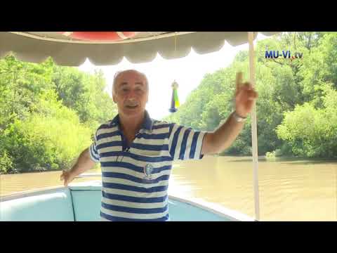 Видео: Едно пътуване с лодка по река Камчия