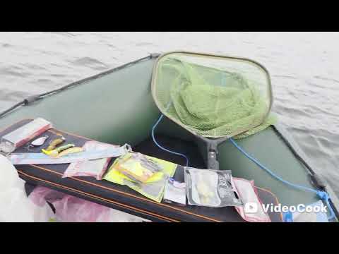 Видео: 5 листопада 2025 р.