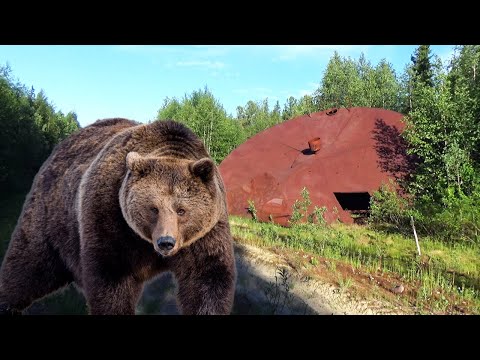 Видео: НЛО в тайге. Встреча с медведем. Авиакатастрофа - чуть не потерял коптер. Хариус. Одиночный поход.