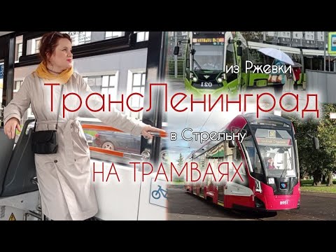 Видео: ТрансЛенинград - из Ржевки в Стрельну на трамваях