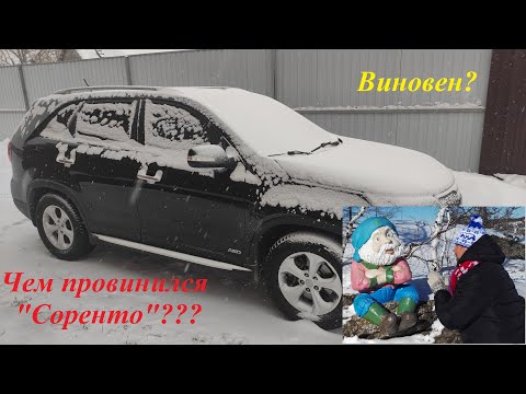 Видео: Чем провинился "Соренто"
