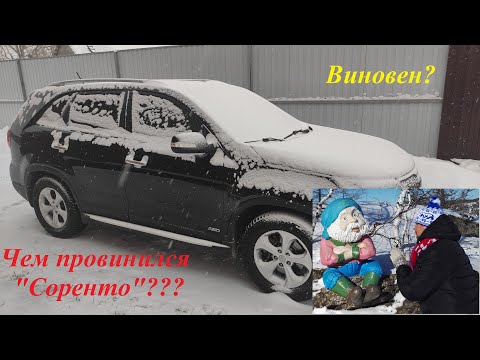 Видео: Чем провинился "Соренто"