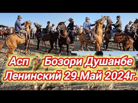 Видео: АСП БОЗОРИ ДУШАНБЕ ЛЕНИНСКИЙ АСПИ ОЧА БАЧА БУГУЗ ВА БАРОИ БУЗКАШИ УЛОГ