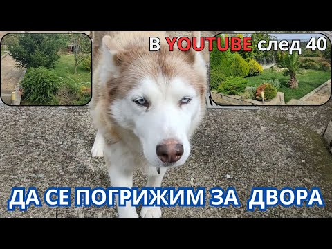 Видео: Да се погрижим за двора