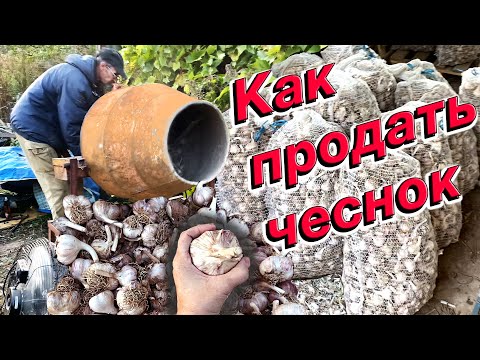 Видео: Шелушим ЧЕСНОК в БЕТОНОМЕШАЛКЕ - Как продать?