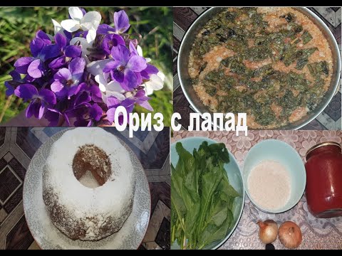 Видео: ☀️ИЗ ПРИРОДАТА + РЕЦЕПТИ☀️