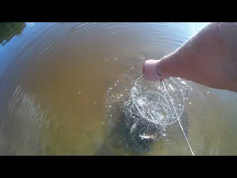 Видео: Рыбалочка на реке Тура коротко с 8 на 9 сентября !