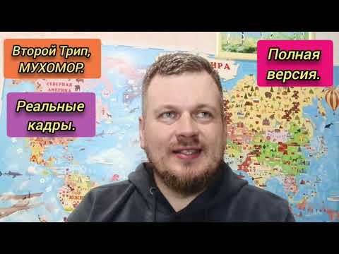 Видео: Второй Трип, МУХОМОР. Реальные кадры. Полная версия. #мухомор #осознанность #пробуждение