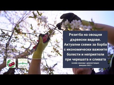Видео: Резитба на овощни дървесни видове. Схеми за борба с болести и неприятели при черешата и сливата