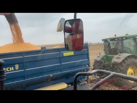 Видео: Перегруз не встигає😳РЕКОРДИ ПО КУКУРУДЗІ❗️ЖНИВА 2025👍ДКС 4178🌽 КЕЙС 2388 Джон дір 7230 Волога 18-21