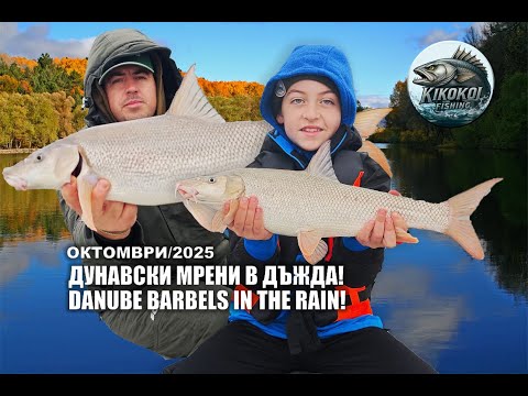 Видео: ДУНАВСКИ МРЕНИ В ДЪЖДА! DANUBE BARBELS IN THE RAIN! СЕМЕЕН РИБОЛОВ. FAMILY FISHING.