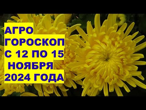 Видео: НА что обратить внимание в агрогороскопе с 12 ПО 15 НОЯБРЯ 2024?