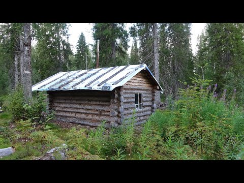 Видео: Путешествие на Ямозеро Ч22. Нашли в лесу избу, в которой медведь разбил окно. Один в глухой тайге