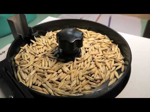 Видео: Волинська філія