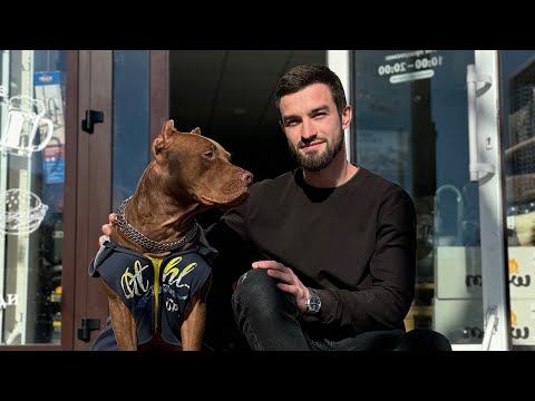 Видео: Идеи для ЗООБИЗНЕСА! Стоит ли начинать в 2025 году?