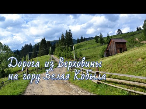 Видео: Дорога из Верховины на гору Белая Кобыла Карпаты