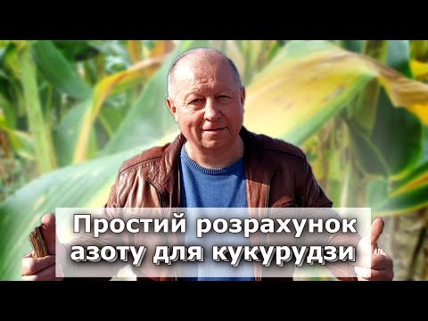 Видео: Як спланувати правильно норму азоту під кукурудзу?
