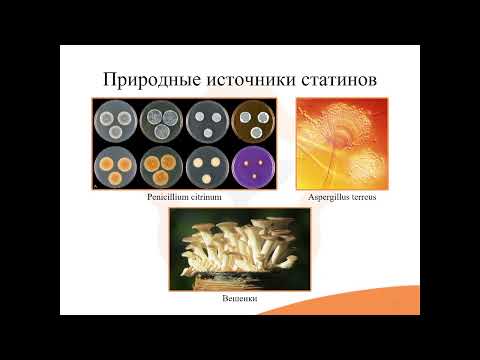 Видео: 22. Противоатеросклеротические средства