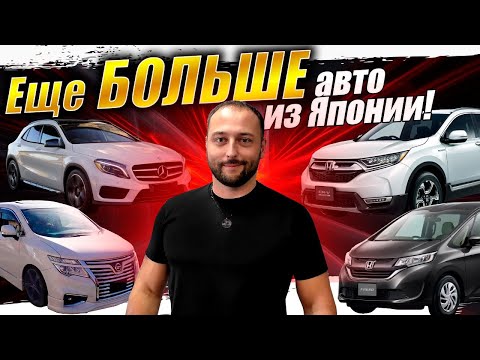 Видео: Продолжаем вывозить все тачки из Японии❗ELGRAND❗Mercedes❗AUDI❗X-TRIAL❗PRADO❗