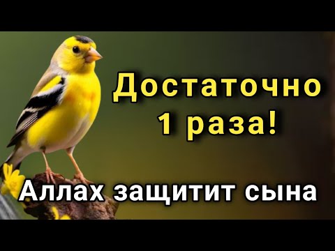 Видео: 🤲 ЭТО САМАЯ СИЛЬНАЯ МОЛИТВА ЗА СЫНА!СПАСЁТ ОТ БЕДЫ ЗЛЫХ ЛЮДЕЙ ПОРЧИ СГЛАЗА СИЛЬНЫЙ ОБЕРЕГ! ✨