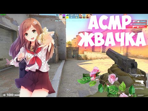 Видео: АСМР КС ГО жвачка и болтовня о учебе