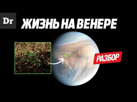 Видео: ЖИЗНЬ НА ВЕНЕРЕ ЕСТЬ?! | РАЗБОР
