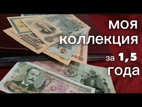 Видео: Моя коллекция банкнот за 1,5 года! #коллекция #нумизматика #история #history 
