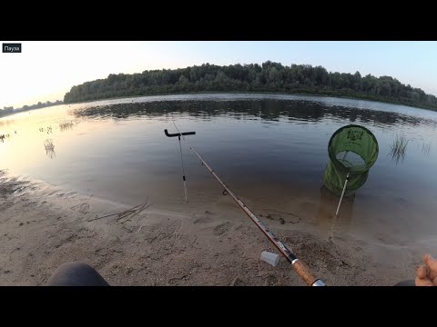 Видео: Фидер на Соже. В очередной раз - Шведская горка!