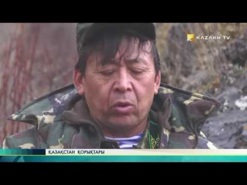 Видео: Ақсу-Жабағылы қорығы