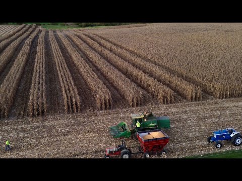 Видео: Не слишком ли мы напрягаемся? | Комбайн JD 6600