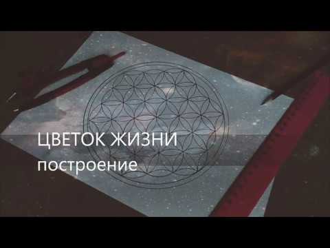 Видео: Цветок Жизни. Построение  /  Сакральная Геометрия