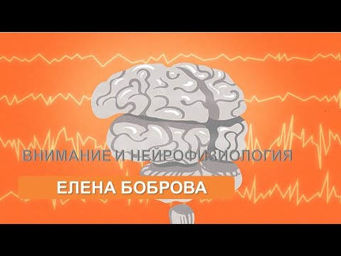Видео: Внимание и нейрофизиология (Елена Боброва)