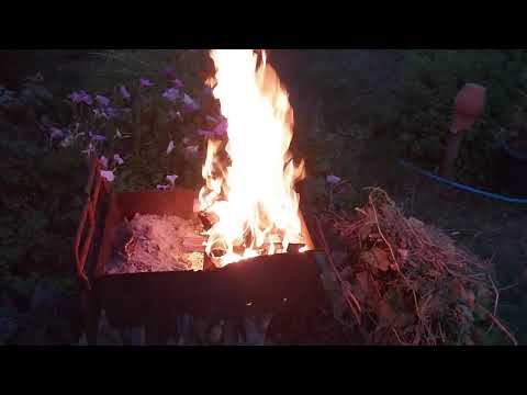 Видео: Сарай уже полон, сад в конце августа