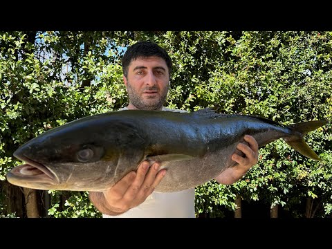 Видео: “Жёлтахвостая лакетра на мангале — тебя удивит вкус этой рыбы!”