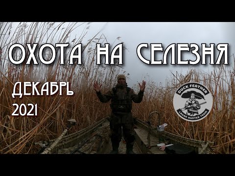 Видео: ОХОТА НА СЕЛЕЗНЯ В ДЕКАБРЕ.