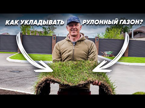 Видео: УКЛАДКА РУЛОННОГО ГАЗОНА. Как укладывать рулонный газон?