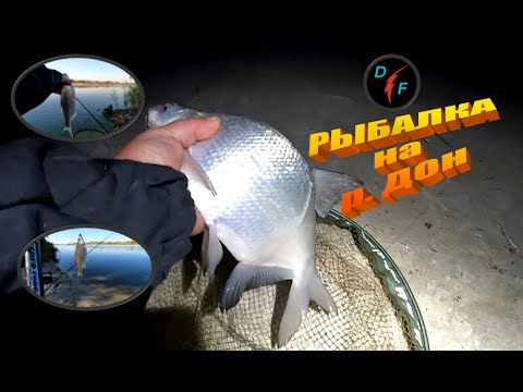 Видео: РЫБАЛКА на ЛЕЩА и РЫБЦА. Река ДОН, ст. Багаевская