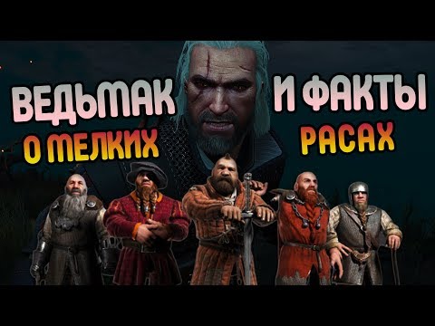 Видео: Всё Про Расы Ведьмака: Низушки Краснолюды и Гномы