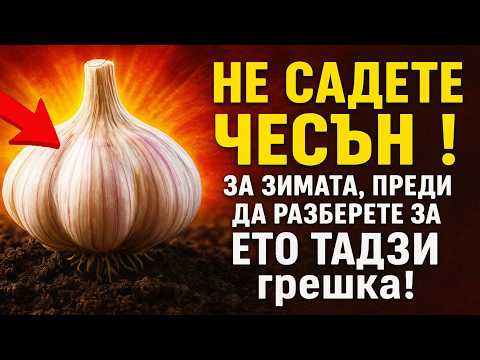 Видео: НЕ САДЕТЕ ЧЕСЪН за зимата, преди да разберете за ЕТО ТАЗИ грешка! ❌ 90% от реколтата ви е застрашен