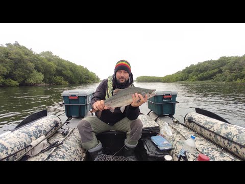 Видео: 110 горбуш за две утрянки. Так сезон я еще не открывал. Река Большая, Камчатка, июль 2025.