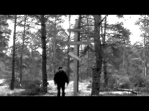 Видео: В прифронтовом лесу