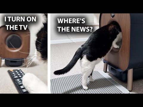 Видео: Он подумал что это телевизор