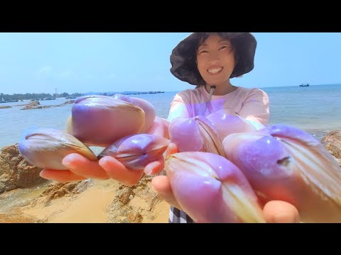 Видео: Южнотихоокеанская жемчужная устрица.