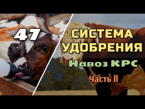 Видео: Органические удобрения. Навоз КРС. Как вносить, хранить, заделывать!