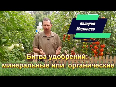 Видео: Битва удобрений: минеральные или  органические