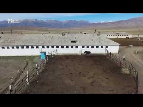 Видео: Талас району Талды-Булак айылы Конезавод 113