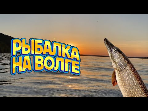 Видео: Рыбалка на ВОЛГЕ, САМАРА. Приготовили Казан-Кебаб